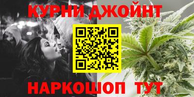 гашик Тверь