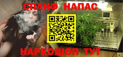гашик Тверь