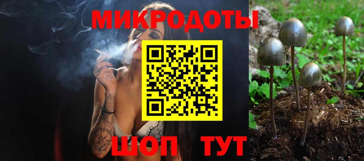 Псилоцибиновые грибы GOLDEN TEACHER Среднеуральск